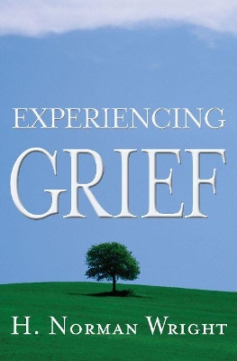 Book cover for Experiencing Grief