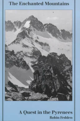 Cover of The Enchanted Mountains