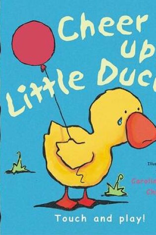 Cover of Cheer Up, Little Duck!