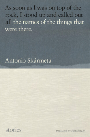 Book cover for The Names of the Things That Were There