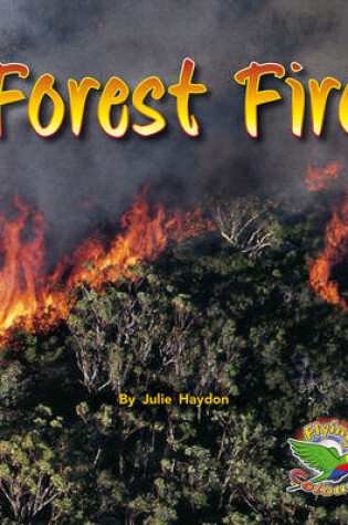 Cover of Forest Fire