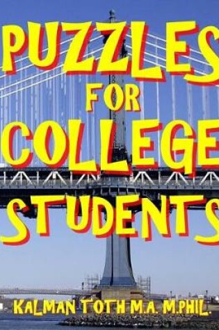 Cover of Puzzles for College Students