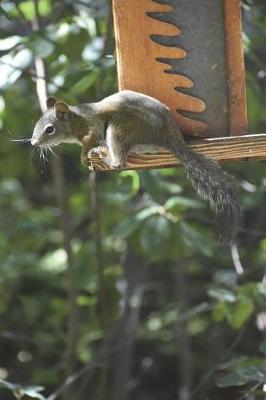 Book cover for Squirrel on a Bird Feeder in Aspen, Colorado Journal