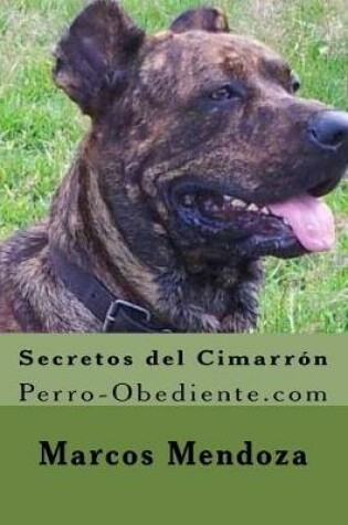 Cover of Secretos del Cimarron