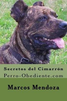 Book cover for Secretos del Cimarron