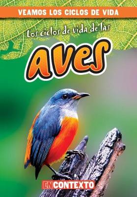 Book cover for Los Ciclos de Vida de Las Aves (Bird Life Cycles)