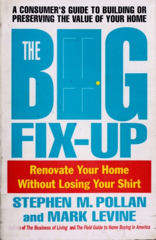 Book cover for The Big Fix-up