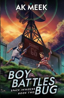 Book cover for Boy Battles Bug