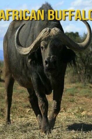 Cover of African buffalo
