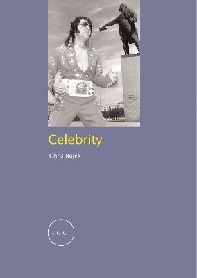 Book cover for Celebrity