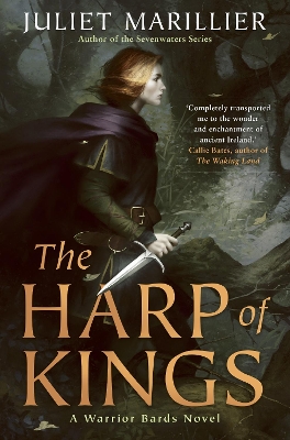 Book cover for The Harp of Kings: A Warrior Bards Novel 1