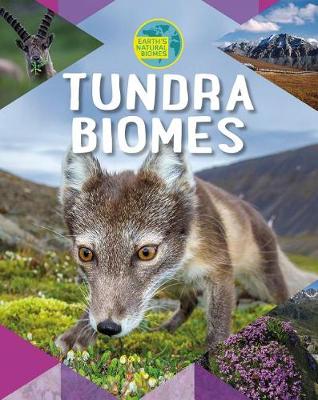Book cover for Tundra Biomes