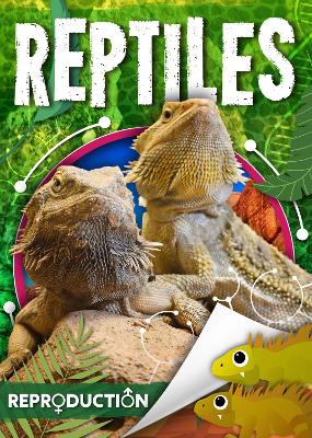 Book cover for Reptiles