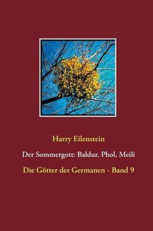 Cover of Der Sommergott