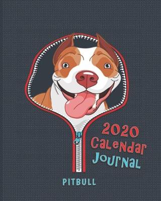 Book cover for Pitbull