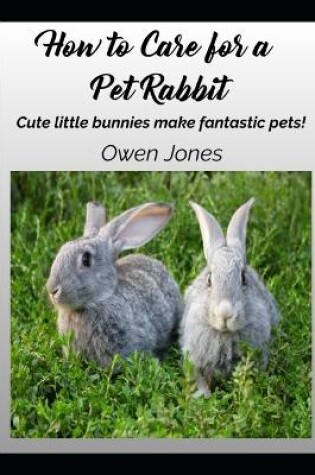 Cover of How To Care For A Pet Rabbit