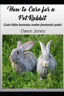 Cover of How To Care For A Pet Rabbit