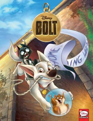 Book cover for Bolt