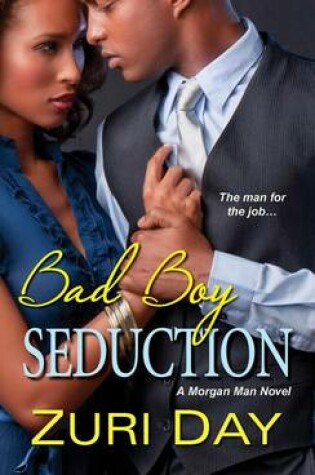 Cover of Bad Boy Seduction