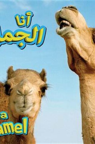 Cover of Camel