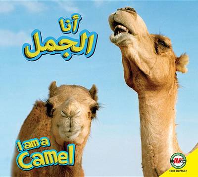 Cover of Camel