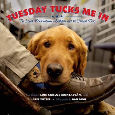 Book cover for Tuesday Tucks Me in