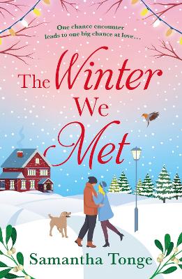 Book cover for The Winter We Met