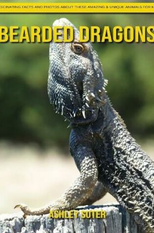 Cover of Bearded dragons