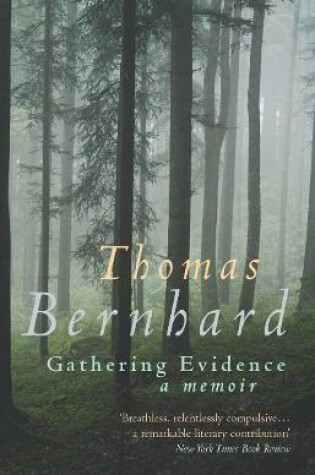 Cover of Gathering Evidence