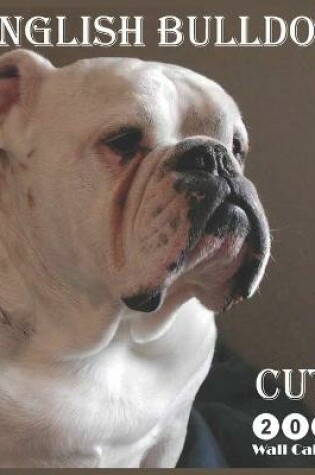 Cover of cute english bulldog