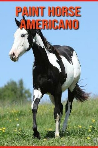 Cover of Paint Horse Americano