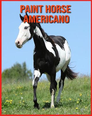 Book cover for Paint Horse Americano