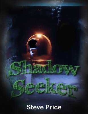 Book cover for Shadow Seeker