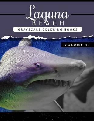 Book cover for Laguna Beach Volume 4