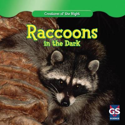 Book cover for Raccoons in the Dark