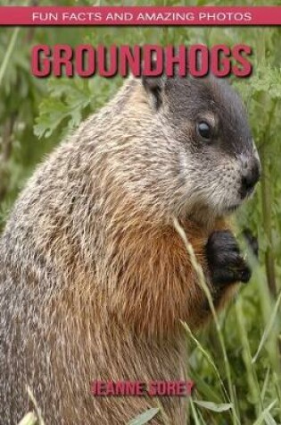 Cover of Groundhogs