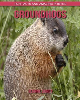 Book cover for Groundhogs