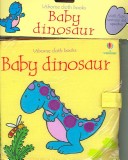 Cover of Baby Dinosaur Cloth Book