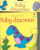 Book cover for Baby Dinosaur Cloth Book