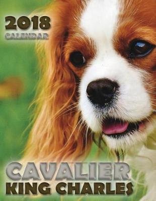 Book cover for Cavalier King Charles 2018 Calendar