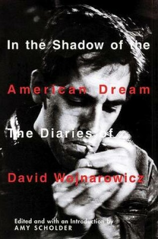 Cover of In the Shadow of the American Dream