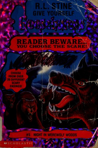 Cover of Night in Werewolf Woods
