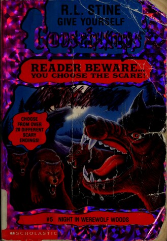 Cover of Night in Werewolf Woods