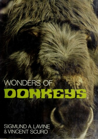 Book cover for Wonders of Donkeys