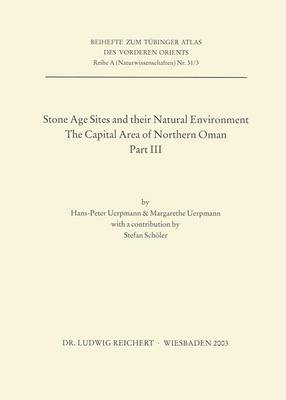 Book cover for Stone Age Sites and Their Natural Environment