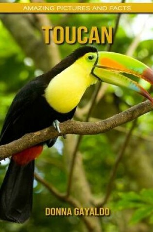 Cover of Toucan