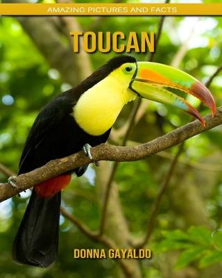 Book cover for Toucan