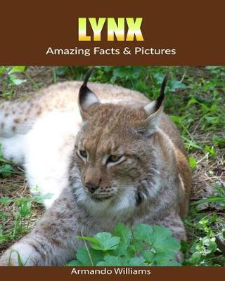 Book cover for Lynx