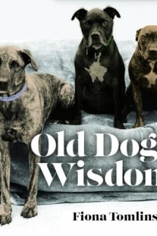 Cover of Old Dog Wisdom
