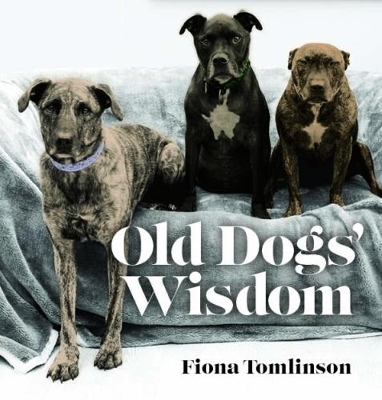 Book cover for Old Dog Wisdom